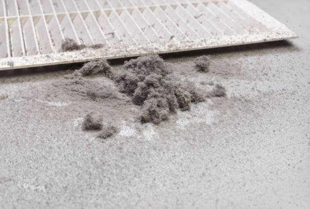 Best Affordable Air Duct Cleaning  in Candler Mcafee, GA