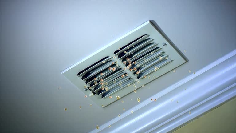 Best Professional Duct Cleaning Services  in Candler Mcafee, GA