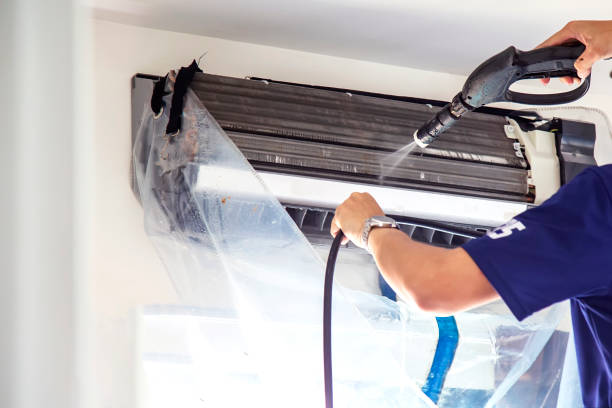 Air Duct Mold Removal in Candler Mcafee, GA